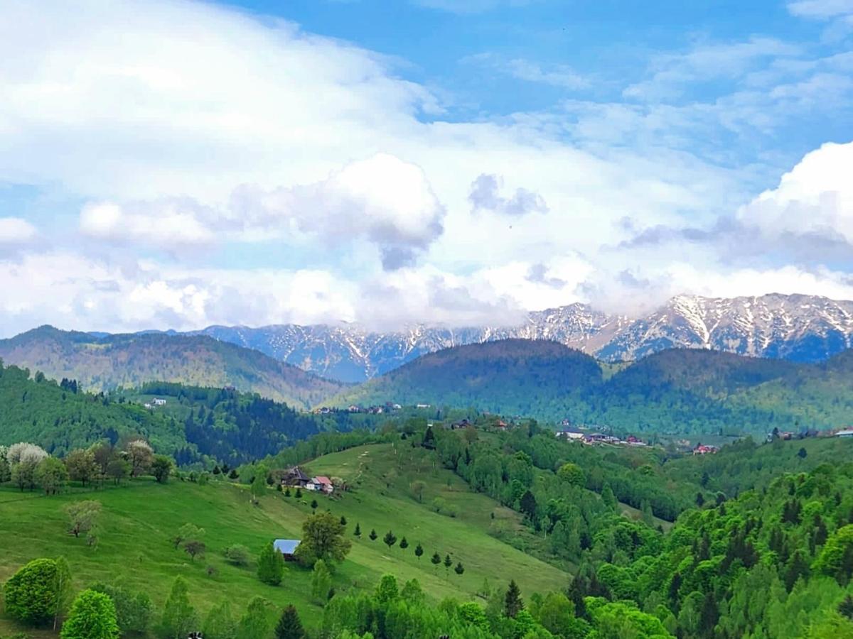 Carpathia Magic -Adults Only Βίλα Peştera Εξωτερικό φωτογραφία